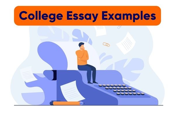 College Essay Examples